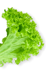 Aldos Fish Bar Broxburnshape